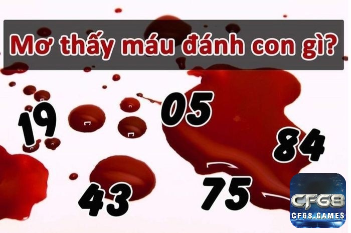 Giải mã giấc mơ thấy máu chứa đựng con số làm giàu