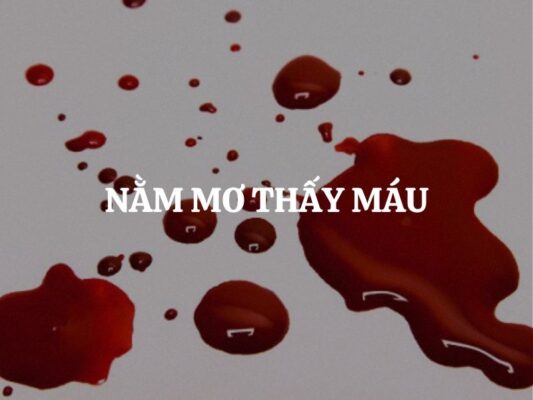 Giải mã giấc mơ thấy máu đánh số bao nhiêu chuẩn?