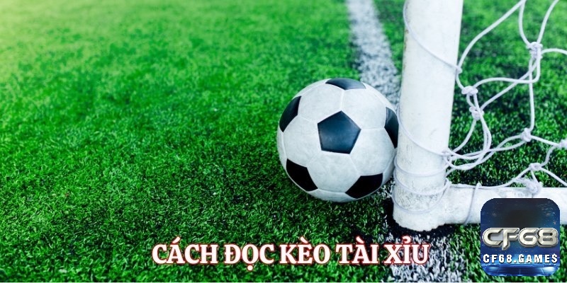 Các tỷ lệ kèo phổ biến làm nên sự đa dạng trong tài xỉu la gì trong bóng đá.