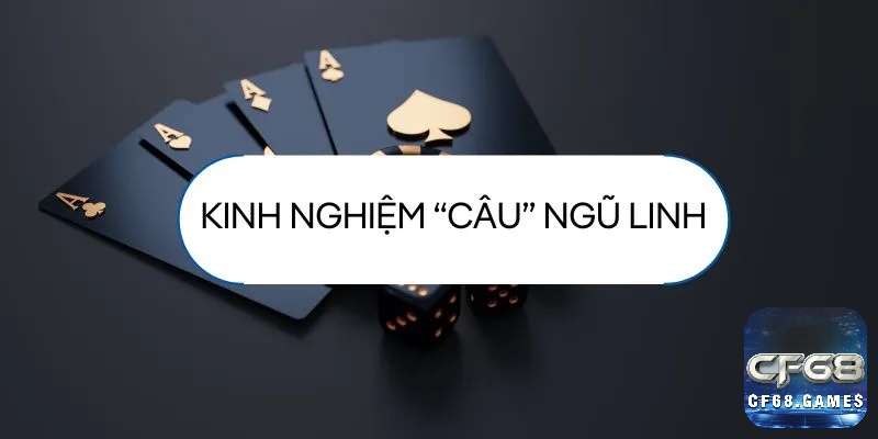Quản lý điểm, tính toán xác suất và sử dụng lá Ách linh hoạt giúp tránh quắc và tối ưu chiến thuật