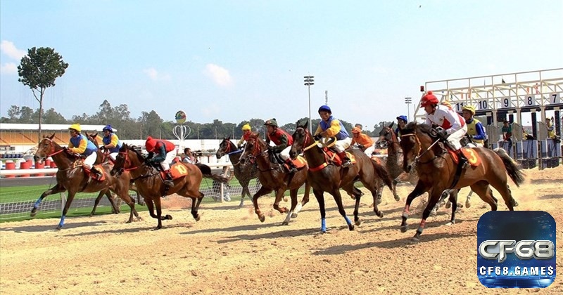 Kèo Show là lựa chọn an toàn cho người mới, giúp tăng cơ hội thắng khi ngựa về nhất, nhì hoặc ba