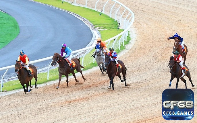 Kèo Exacta đòi hỏi độ chính xác tuyệt đối khi dự đoán đúng hai vị trí đầu tiên của cuộc đua ngựa