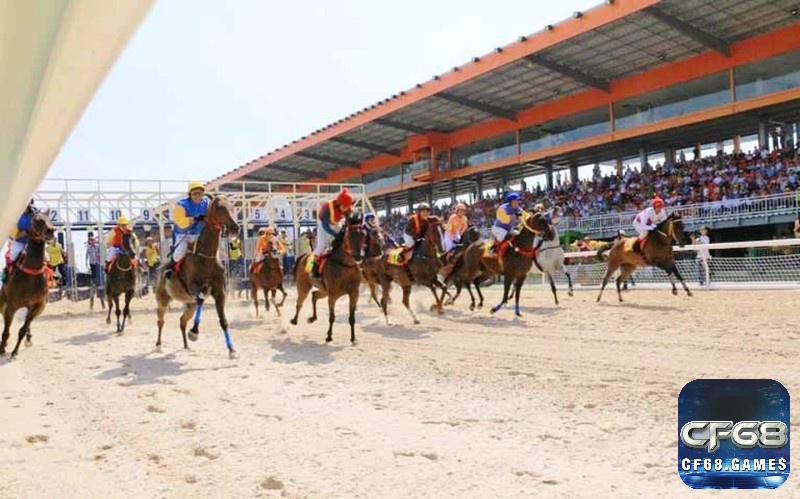 Kèo Trifecta là lựa chọn cho người đam mê mạo hiểm, phần thưởng lớn tương xứng với độ khó cao ngất