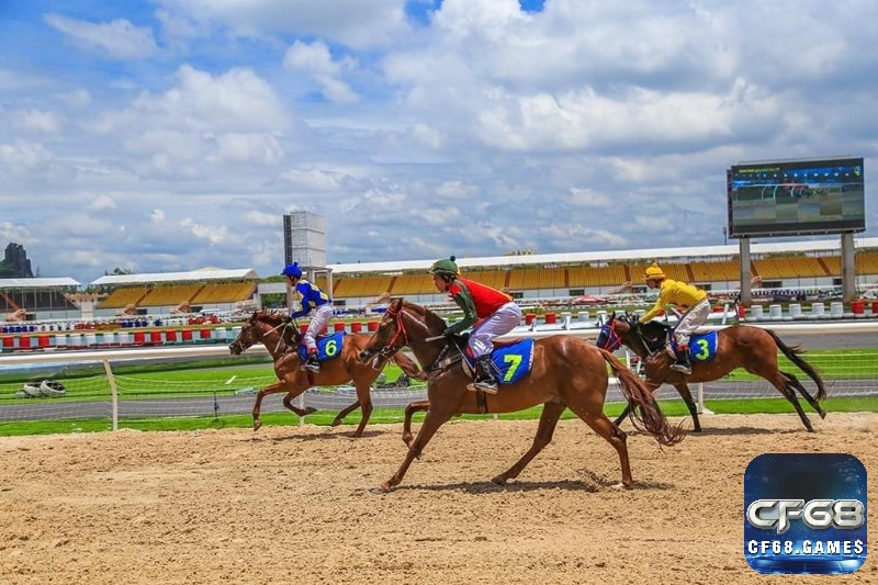 Kèo Superfecta chinh phục giới cược thủ bằng phần thưởng khổng lồ khi dự đoán chuẩn bốn vị trí dẫn đầu