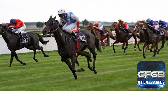 Các kèo cá cược đua ngựa 2025 kết hợp như Quinella, Daily Double, Pick 3/6 mang lại sự đa dạng và hồi hộp tột cùng