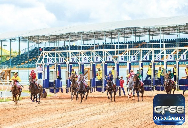 Cá cược đua ngựa 2025 không chỉ là trò may rủi mà còn là nghệ thuật chiến lược và quản lý cảm xúc tinh tế