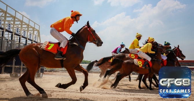 Kèo Win mang đến cảm giác phấn khích tột độ khi người chơi đặt cược duy nhất vào ngựa về nhất