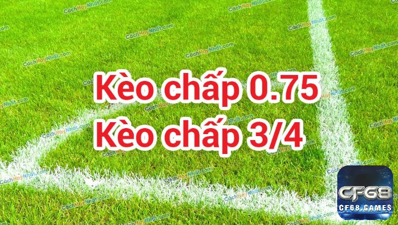 Cửa dưới chỉ thua nửa tiền khi thua sát nút, phù hợp cho người muốn giảm rủi ro trong cá cược bóng đá